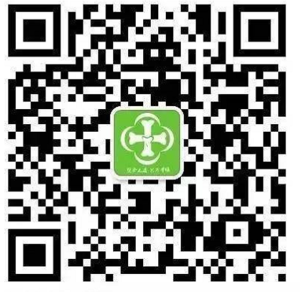 1742523485411.jpg